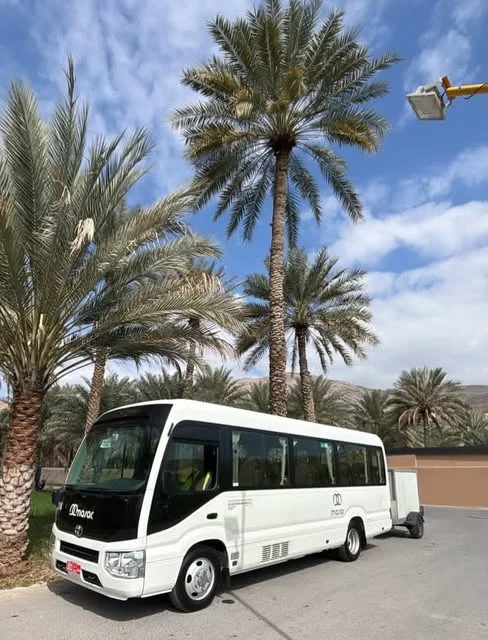 حافلة مسار البيضاء بجوار أشجار النخيل